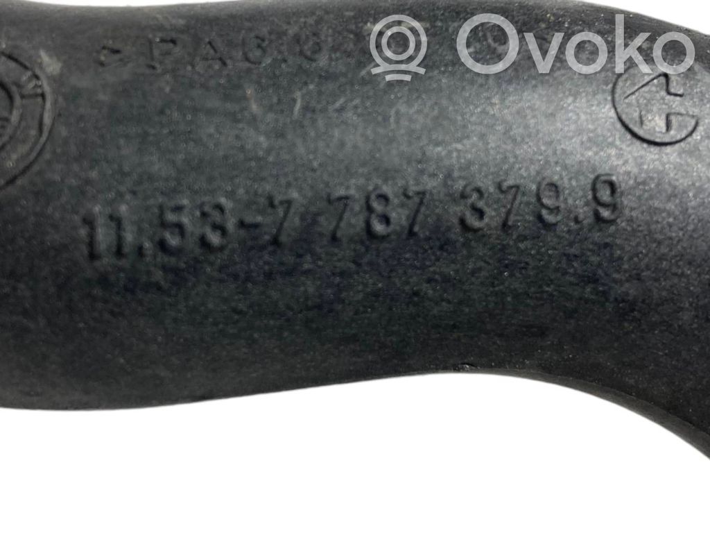 Caurulīte (-es) / šļūtene (-es)