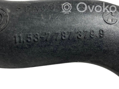 Caurulīte (-es) / šļūtene (-es)