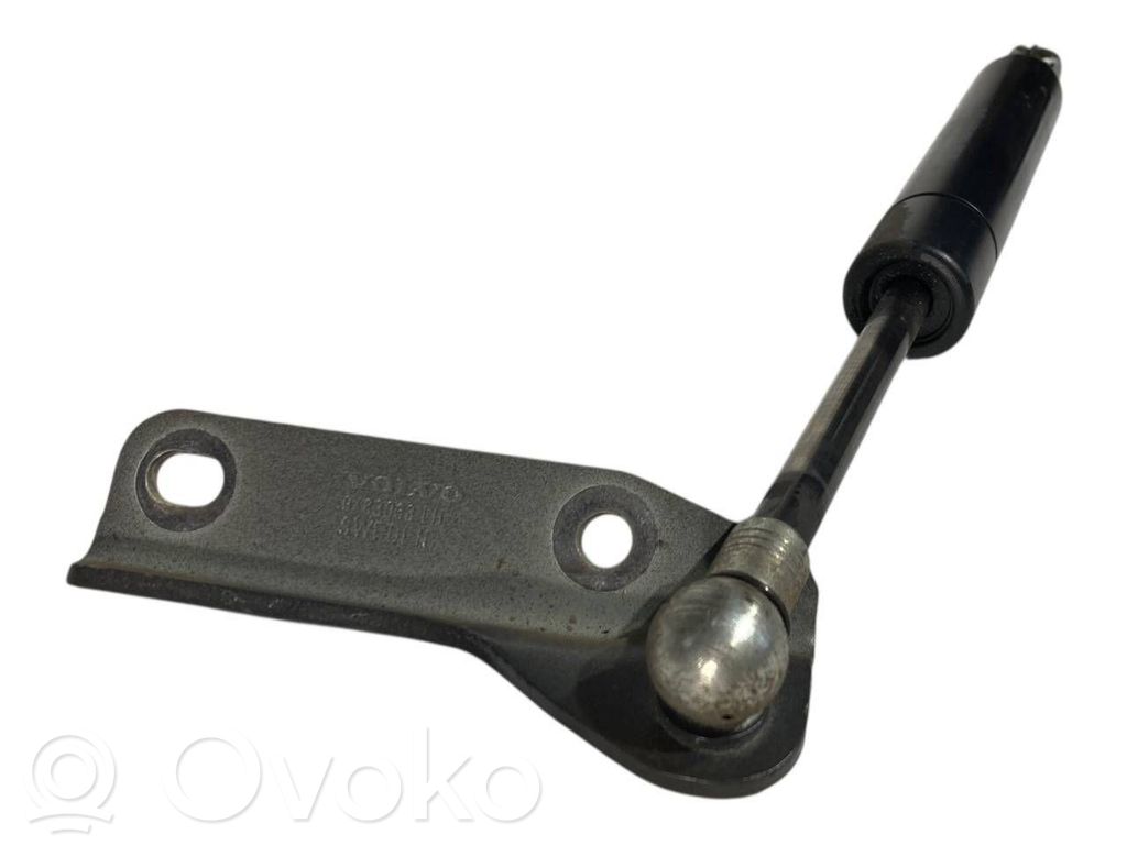 Bagāžnieka amortizators