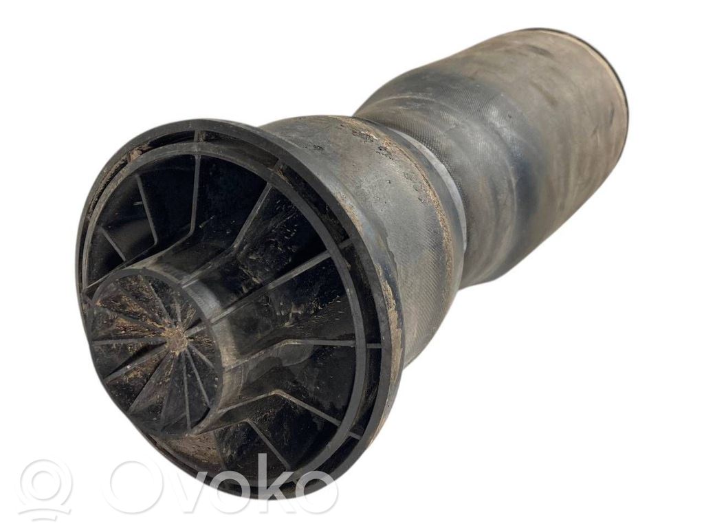 Aizmugurē gaisa spilvens