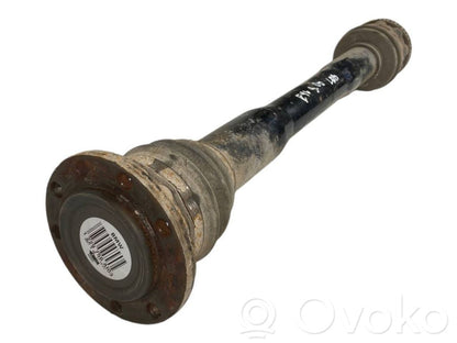 Aizmugurējā pusass