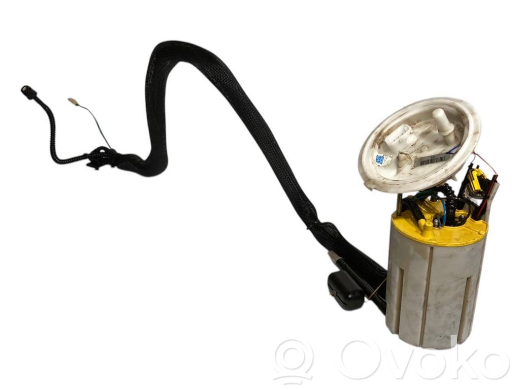 Fuel pump (in the fuel tank)