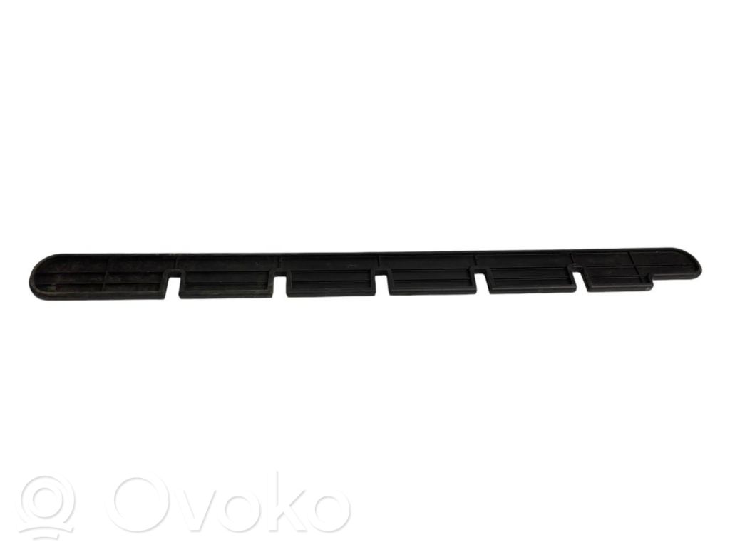 Cita veida bagāžnieka dekoratīvās apdares detaļa