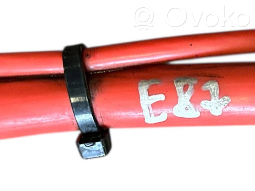 Plusa vads (akumulatora)