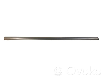 Priekšpusē durvju dekoratīvā apdare (moldings)