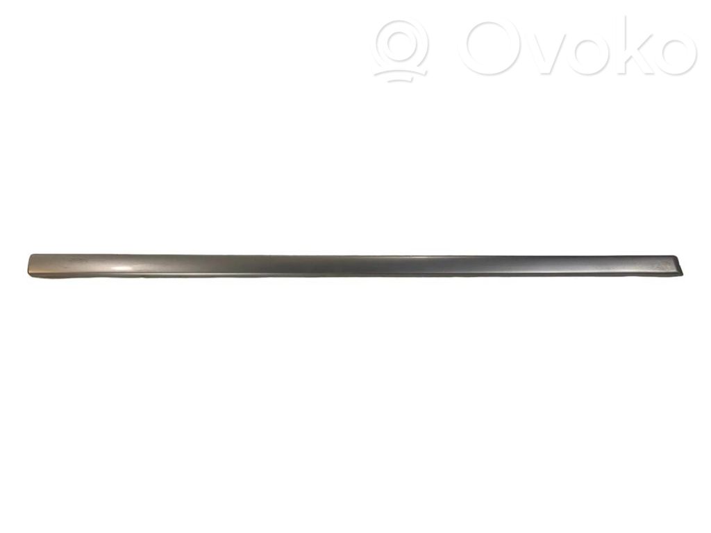 Front door decorative trim (molding)