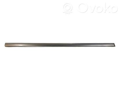 Front door decorative trim (molding)