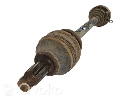 Aizmugurējā pusass