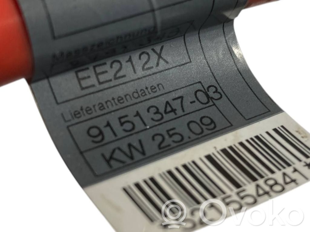 Plusa vadu savienošanas mezgls