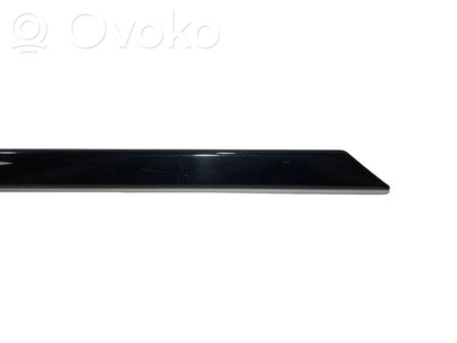 Aizmugurē durvju dekoratīvā apdare (moldings)