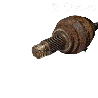 Aizmugurējā pusass