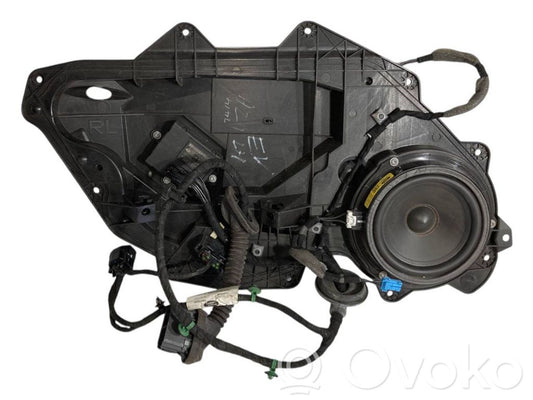 Speaker(s) in the rear door