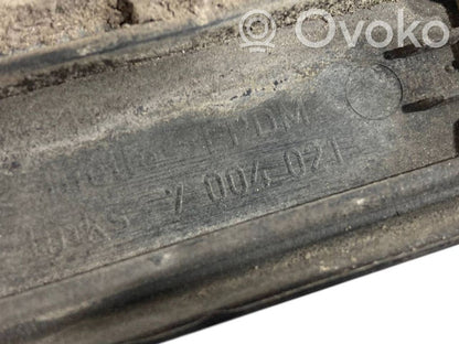 Fender decorative trim (molding)