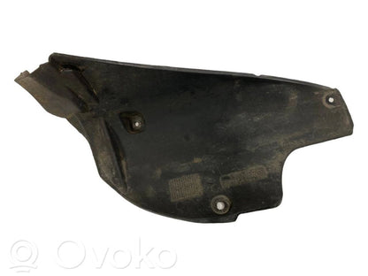 Aizmugurējais apakšspārns