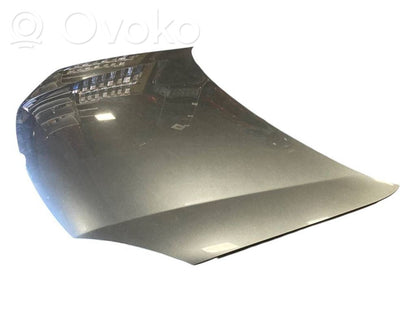 Dzinēja pārsegs (vāks)