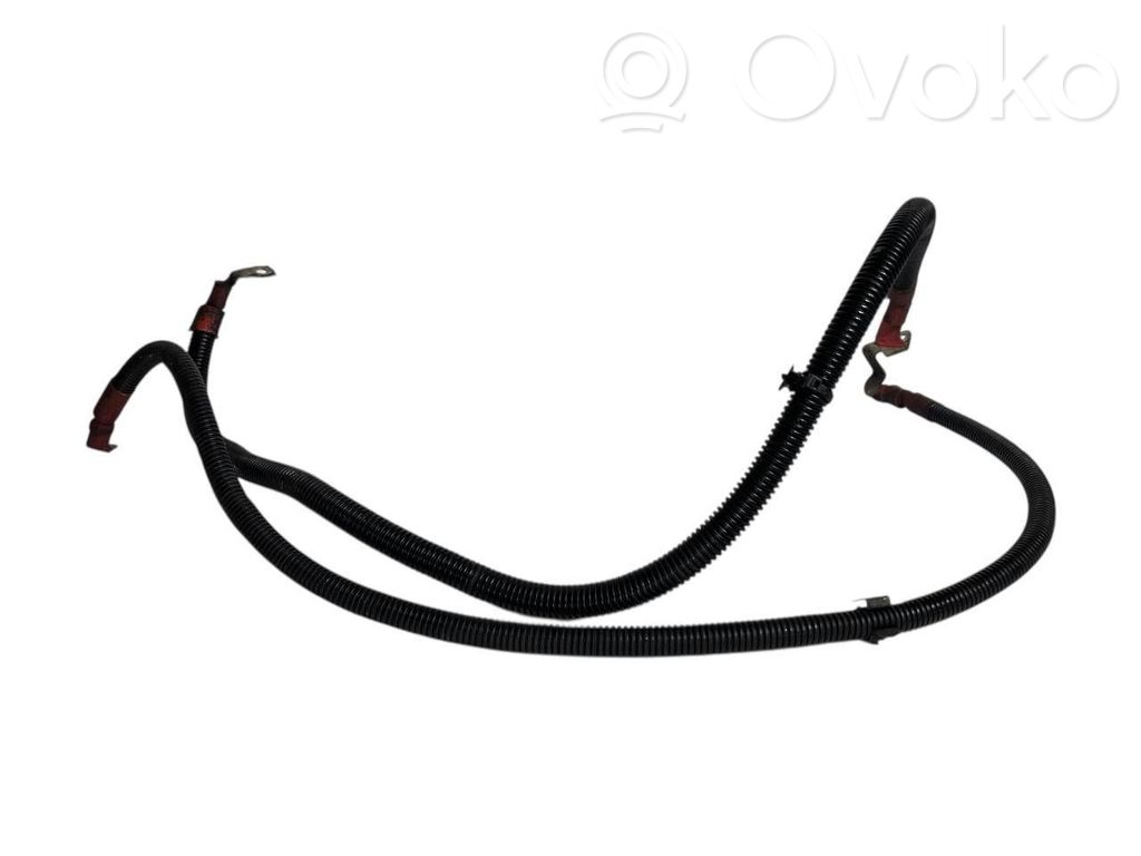 Plusa vads (akumulatora)
