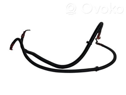 Plusa vads (akumulatora)