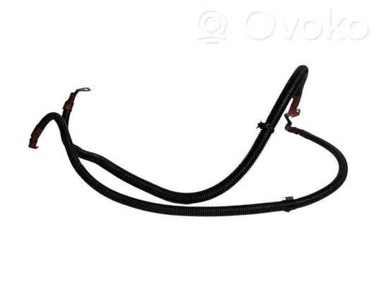 Plusa vads (akumulatora)