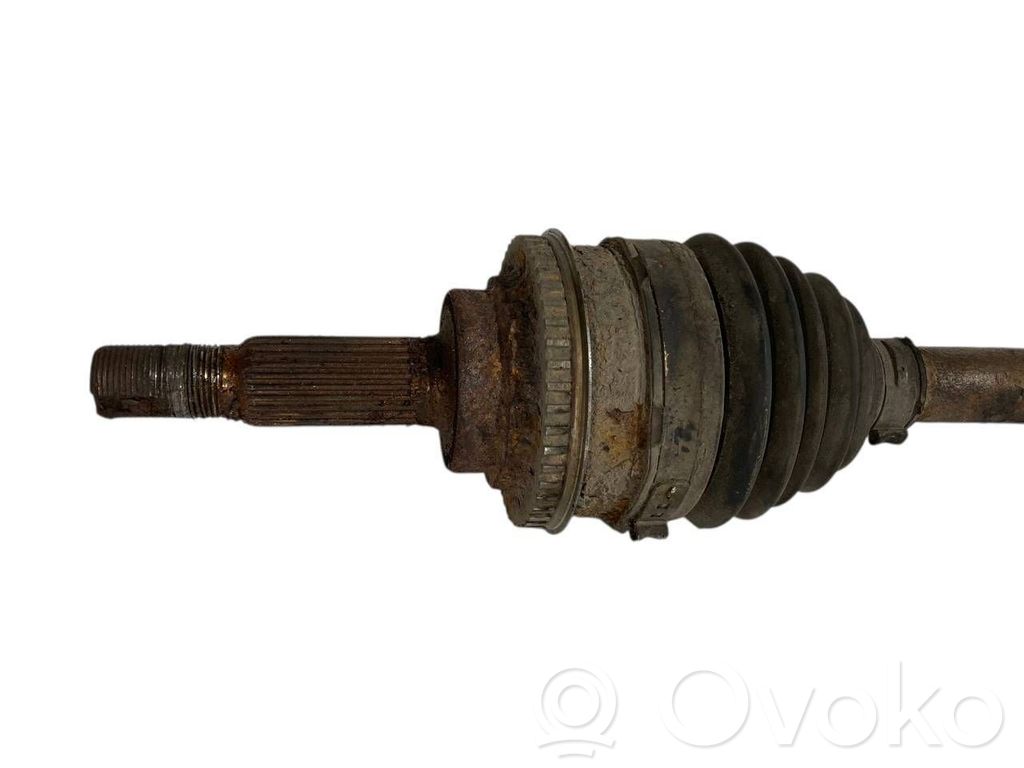 Aizmugurējā pusass