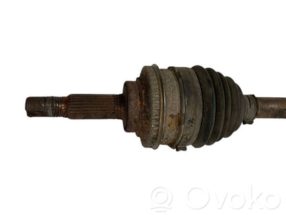 Aizmugurējā pusass