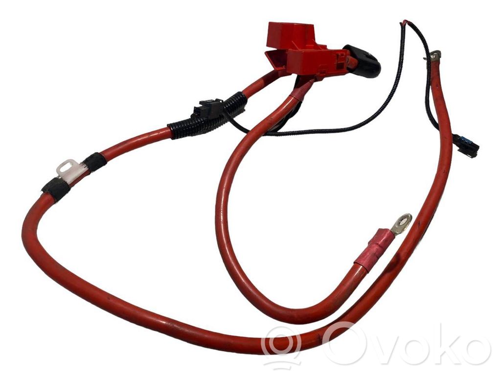 Plusa vads (akumulatora)