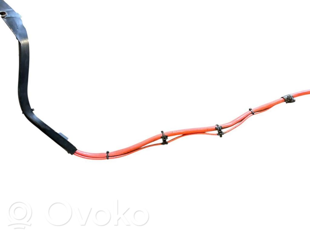 Plusa vads (akumulatora)