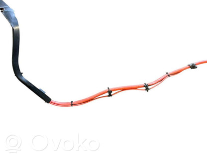 Plusa vads (akumulatora)