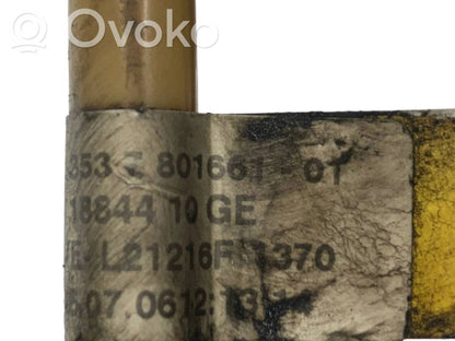 Caurule (-es) / šļūtene (-es)