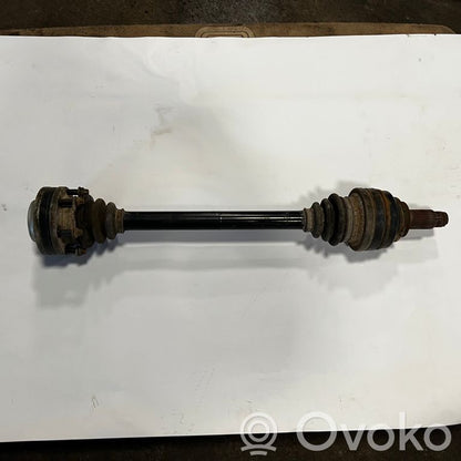 Aizmugurējā pusass