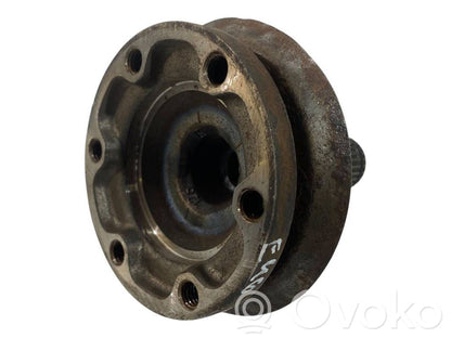 Aizmugurējā pusass