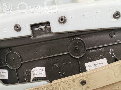 Apšuvums aizmugurējām durvīm