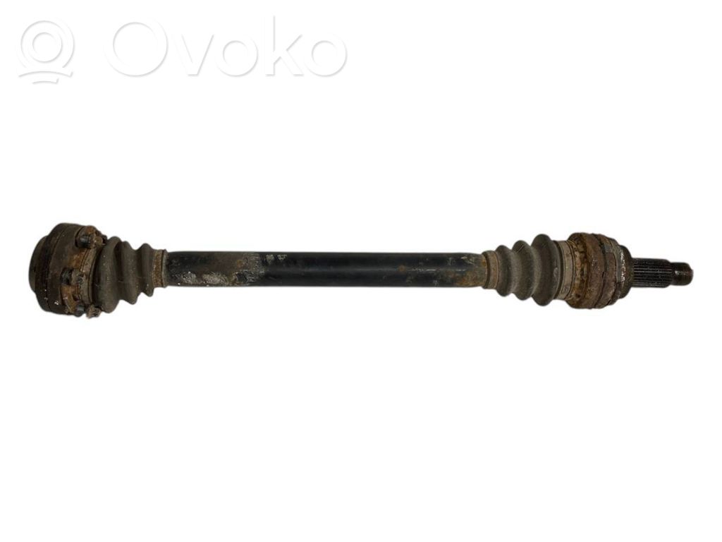 Aizmugurējā pusass