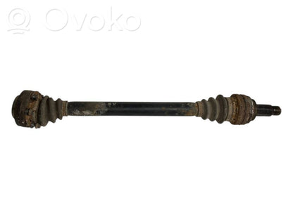 Aizmugurējā pusass