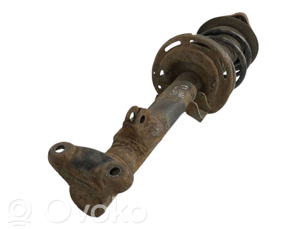 Front shock absorber with spring