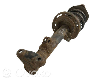 Front shock absorber with spring