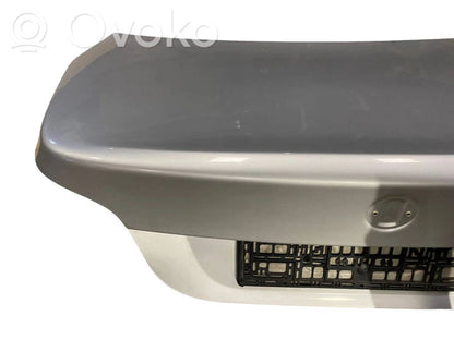 Aizmugurējais pārsegs (bagāžnieks)