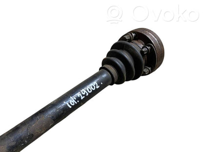 Aizmugurējā pusass