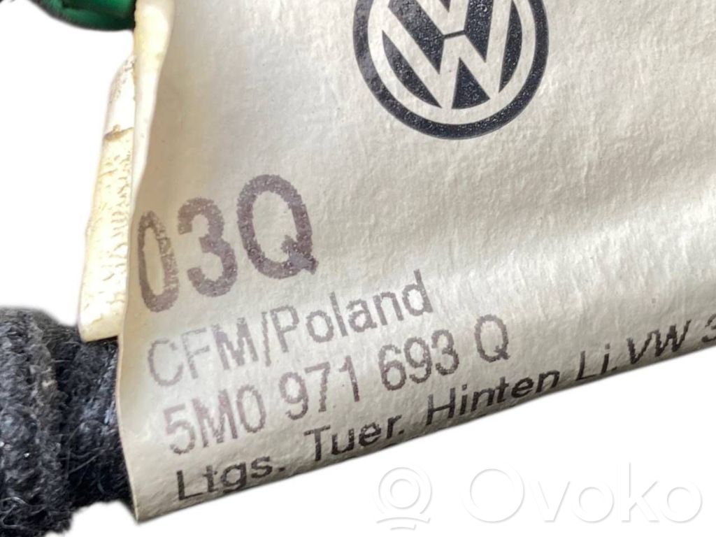 Aizmugurējās durvis