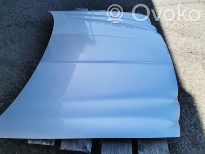 Dzinēja pārsegs (vāks)