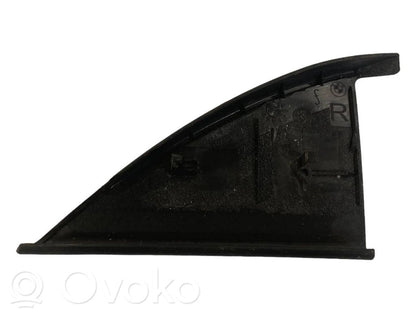 Cita veida priekšpusē durvju dekoratīvās apdares detaļa