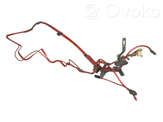 Plusa vads (akumulatora)