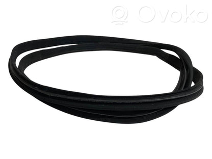 Front trim rubber (in the body)
