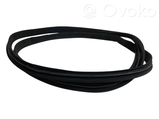 Front trim rubber (in the body)