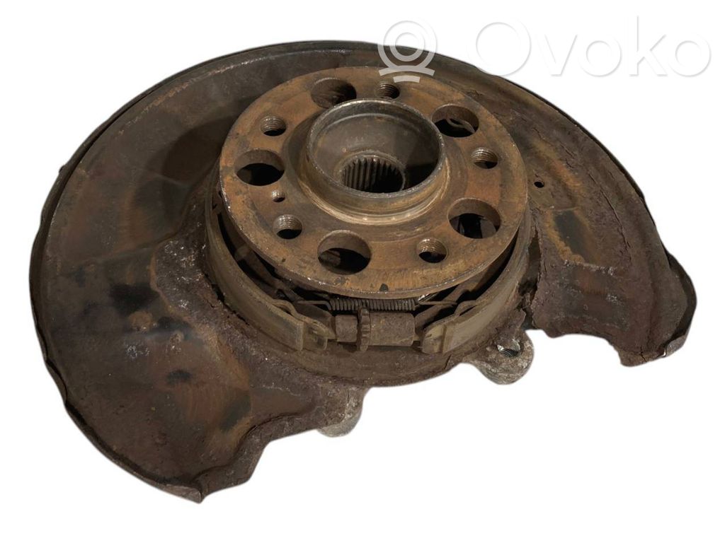 Rear wheel hub shaft joint (stupica, capfa)