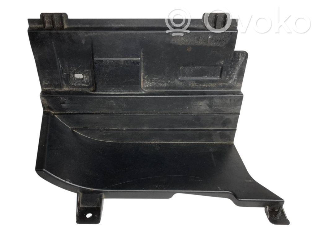 Cita veida bagāžnieka dekoratīvās apdares detaļa