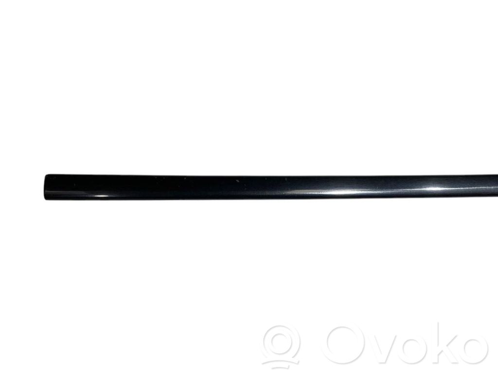 Front door decorative trim (molding)