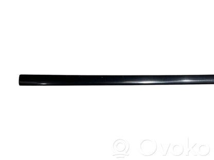 Front door decorative trim (molding)