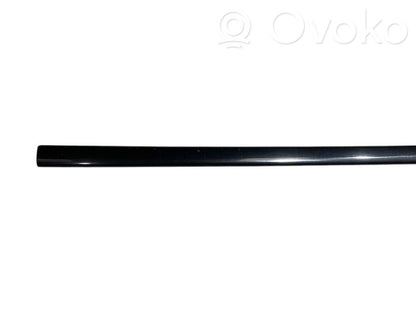 Front door decorative trim (molding)