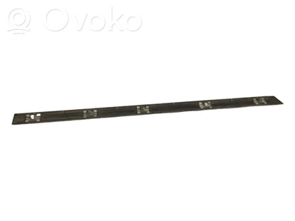 Rear door decorative trim (moulding)