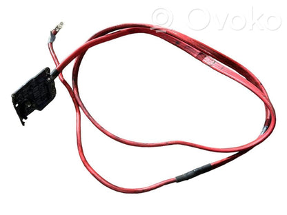 Plusa vads (akumulatora)